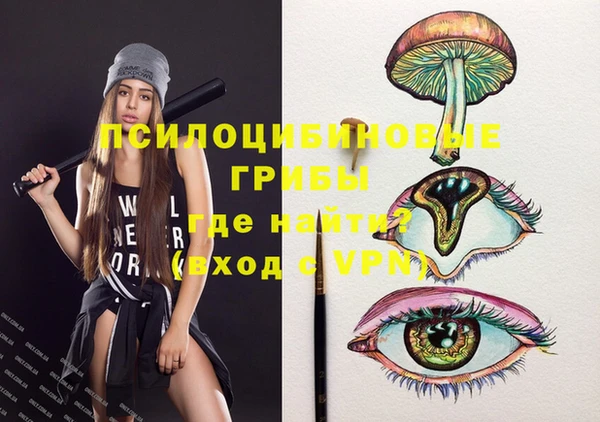 дурь Каменногорск