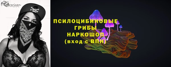 дурь Каменногорск