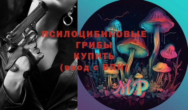 дурь Каменногорск